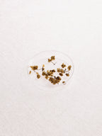 Blooming | Body Cleansing Bar - Joreas